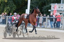 Dateiname=20251012_r06_021_R06_0102.jpg
Dateigröße=317KB
Abmessungen: 1000x667
hinzugefügt am: 14. Oktober 2025 20251012_r06_021_R06_0102.jpg