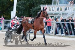 Dateiname=20251012_r06_022_R06_0107.jpg
Dateigröße=316KB
Abmessungen: 1000x667
hinzugefügt am: 14. Oktober 2025 20251012_r06_022_R06_0107.jpg