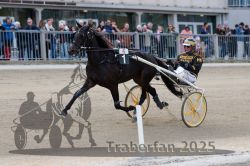 Dateiname=20251012_r06_025_R06_0120.jpg
Dateigröße=290KB
Abmessungen: 1000x667
hinzugefügt am: 14. Oktober 2025 20251012_r06_025_R06_0120.jpg