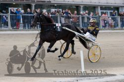 Dateiname=20251012_r06_026_R06_0121.jpg
Dateigröße=292KB
Abmessungen: 1000x667
hinzugefügt am: 14. Oktober 2025 20251012_r06_026_R06_0121.jpg