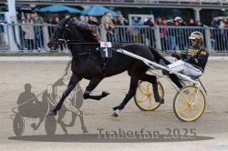 Dateiname=20251012_r06_029_R06_0128.jpg
Dateigröße=289KB
Abmessungen: 1000x667
hinzugefügt am: 14. Oktober 2025 20251012_r06_029_R06_0128.jpg