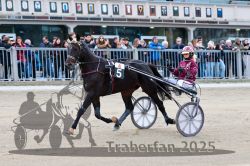 Dateiname=20251012_r06_030_R06_0132.jpg
Dateigröße=327KB
Abmessungen: 1000x667
hinzugefügt am: 14. Oktober 2025 20251012_r06_030_R06_0132.jpg