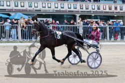 Dateiname=20251012_r06_031_R06_0136.jpg
Dateigröße=338KB
Abmessungen: 1000x667
hinzugefügt am: 14. Oktober 2025 20251012_r06_031_R06_0136.jpg