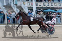 Dateiname=20251012_r06_040_R06_0154.jpg
Dateigröße=311KB
Abmessungen: 1000x667
hinzugefügt am: 14. Oktober 2025 20251012_r06_040_R06_0154.jpg