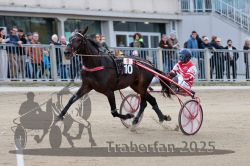 Dateiname=20251012_r06_044_R06_0164.jpg
Dateigröße=290KB
Abmessungen: 1000x667
hinzugefügt am: 14. Oktober 2025 20251012_r06_044_R06_0164.jpg