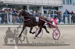 Dateiname=20251012_r06_045_R06_0165.jpg
Dateigröße=289KB
Abmessungen: 1000x667
hinzugefügt am: 14. Oktober 2025 20251012_r06_045_R06_0165.jpg