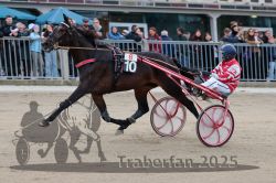 Dateiname=20251012_r06_049_R06_0175.jpg
Dateigröße=305KB
Abmessungen: 1000x667
hinzugefügt am: 14. Oktober 2025 20251012_r06_049_R06_0175.jpg