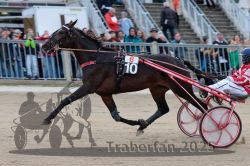 Dateiname=20251012_r06_053_R06_0182.jpg
Dateigröße=299KB
Abmessungen: 1000x667
hinzugefügt am: 14. Oktober 2025 20251012_r06_053_R06_0182.jpg