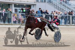 Dateiname=20251012_r06_058_R06_0191.jpg
Dateigröße=301KB
Abmessungen: 1000x667
hinzugefügt am: 14. Oktober 2025 20251012_r06_058_R06_0191.jpg