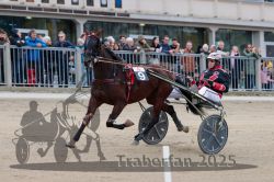 Dateiname=20251012_r06_060_R06_0198.jpg
Dateigröße=295KB
Abmessungen: 1000x667
hinzugefügt am: 14. Oktober 2025 20251012_r06_060_R06_0198.jpg