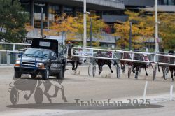 Dateiname=20251012_r06_066_R06_0221.jpg
Dateigröße=309KB
Abmessungen: 1000x667
hinzugefügt am: 14. Oktober 2025 20251012_r06_066_R06_0221.jpg