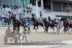 Dateiname=20251012_r06_071_R06_0233.jpg
Dateigröße=320KB
Abmessungen: 1000x667
hinzugefügt am: 14. Oktober 2025 20251012_r06_071_R06_0233.jpg