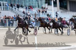 Dateiname=20251012_r06_072_R06_0235.jpg
Dateigröße=325KB
Abmessungen: 1000x667
hinzugefügt am: 14. Oktober 2025 20251012_r06_072_R06_0235.jpg