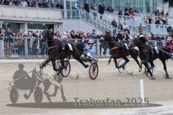 Dateiname=20251012_r06_074_R06_0239.jpg
Dateigröße=318KB
Abmessungen: 1000x667
hinzugefügt am: 14. Oktober 2025 20251012_r06_074_R06_0239.jpg