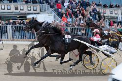 Dateiname=20251012_r06_081_R06_0258.jpg
Dateigröße=336KB
Abmessungen: 1000x667
hinzugefügt am: 14. Oktober 2025 20251012_r06_081_R06_0258.jpg