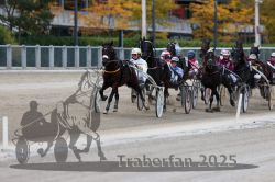 Dateiname=20251012_r06_084_R06_0268.jpg
Dateigröße=286KB
Abmessungen: 1000x667
hinzugefügt am: 14. Oktober 2025 20251012_r06_084_R06_0268.jpg