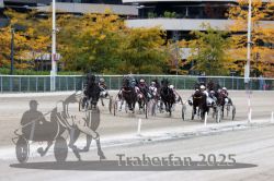 Dateiname=20251012_r06_101_R06_0321.jpg
Dateigröße=345KB
Abmessungen: 1000x667
hinzugefügt am: 14. Oktober 2025 20251012_r06_101_R06_0321.jpg