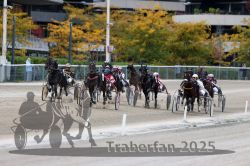 Dateiname=20251012_r06_105_R06_0332.jpg
Dateigröße=318KB
Abmessungen: 1000x667
hinzugefügt am: 14. Oktober 2025 20251012_r06_105_R06_0332.jpg