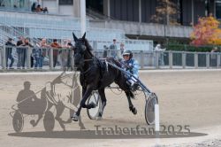 Dateiname=20251012_r07_021_R07_0118.jpg
Dateigröße=259KB
Abmessungen: 1000x667
hinzugefügt am: 14. Oktober 2025 20251012_r07_021_R07_0118.jpg