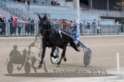 Dateiname=20251012_r07_023_R07_0122.jpg
Dateigröße=270KB
Abmessungen: 1000x667
hinzugefügt am: 14. Oktober 2025 20251012_r07_023_R07_0122.jpg