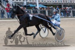 Dateiname=20251012_r07_030_R07_0140.jpg
Dateigröße=293KB
Abmessungen: 1000x667
hinzugefügt am: 14. Oktober 2025 20251012_r07_030_R07_0140.jpg