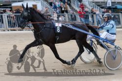 Dateiname=20251012_r07_031_R07_0143.jpg
Dateigröße=292KB
Abmessungen: 1000x667
hinzugefügt am: 14. Oktober 2025 20251012_r07_031_R07_0143.jpg