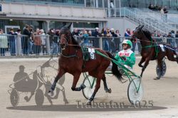 Dateiname=20251012_r07_033_R07_0149.jpg
Dateigröße=297KB
Abmessungen: 1000x667
hinzugefügt am: 14. Oktober 2025 20251012_r07_033_R07_0149.jpg