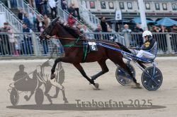 Dateiname=20251012_r07_035_R07_0157.jpg
Dateigröße=288KB
Abmessungen: 1000x667
hinzugefügt am: 14. Oktober 2025 20251012_r07_035_R07_0157.jpg