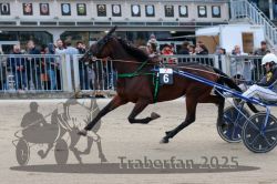 Dateiname=20251012_r07_037_R07_0162.jpg
Dateigröße=303KB
Abmessungen: 1000x667
hinzugefügt am: 14. Oktober 2025 20251012_r07_037_R07_0162.jpg