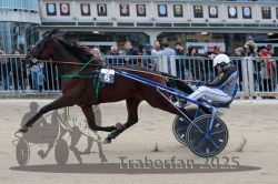 Dateiname=20251012_r07_038_R07_0165.jpg
Dateigröße=296KB
Abmessungen: 1000x667
hinzugefügt am: 14. Oktober 2025 20251012_r07_038_R07_0165.jpg