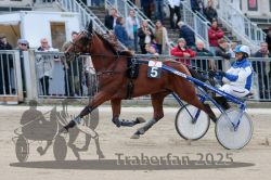 Dateiname=20251012_r07_040_R07_0175.jpg
Dateigröße=301KB
Abmessungen: 1000x667
hinzugefügt am: 14. Oktober 2025 20251012_r07_040_R07_0175.jpg