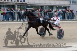 Dateiname=20251012_r07_046_R07_0194.jpg
Dateigröße=284KB
Abmessungen: 1000x667
hinzugefügt am: 14. Oktober 2025 20251012_r07_046_R07_0194.jpg