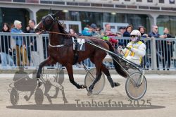 Dateiname=20251012_r07_054_R07_0212.jpg
Dateigröße=291KB
Abmessungen: 1000x667
hinzugefügt am: 14. Oktober 2025 20251012_r07_054_R07_0212.jpg