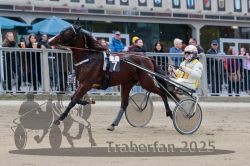 Dateiname=20251012_r07_056_R07_0217.jpg
Dateigröße=295KB
Abmessungen: 1000x667
hinzugefügt am: 14. Oktober 2025 20251012_r07_056_R07_0217.jpg