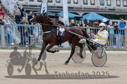 Dateiname=20251012_r07_058_R07_0221.jpg
Dateigröße=302KB
Abmessungen: 1000x667
hinzugefügt am: 14. Oktober 2025 20251012_r07_058_R07_0221.jpg