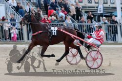 Dateiname=20251012_r07_067_R07_0254.jpg
Dateigröße=308KB
Abmessungen: 1000x667
hinzugefügt am: 14. Oktober 2025 20251012_r07_067_R07_0254.jpg