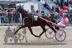 Dateiname=20251012_r07_068_R07_0257.jpg
Dateigröße=304KB
Abmessungen: 1000x667
hinzugefügt am: 14. Oktober 2025 20251012_r07_068_R07_0257.jpg