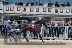 Dateiname=20251012_r07_070_R07_0261.jpg
Dateigröße=317KB
Abmessungen: 1000x667
hinzugefügt am: 14. Oktober 2025 20251012_r07_070_R07_0261.jpg