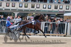 Dateiname=20251012_r07_071_R07_0265.jpg
Dateigröße=327KB
Abmessungen: 1000x667
hinzugefügt am: 14. Oktober 2025 20251012_r07_071_R07_0265.jpg