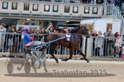 Dateiname=20251012_r07_072_R07_0269.jpg
Dateigröße=327KB
Abmessungen: 1000x667
hinzugefügt am: 14. Oktober 2025 20251012_r07_072_R07_0269.jpg