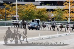 Dateiname=20251012_r07_073_R07_0271.jpg
Dateigröße=354KB
Abmessungen: 1000x667
hinzugefügt am: 14. Oktober 2025 20251012_r07_073_R07_0271.jpg