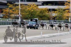 Dateiname=20251012_r07_074_R07_0276.jpg
Dateigröße=336KB
Abmessungen: 1000x667
hinzugefügt am: 14. Oktober 2025 20251012_r07_074_R07_0276.jpg