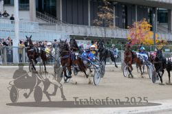 Dateiname=20251012_r07_075_R07_0284.jpg
Dateigröße=313KB
Abmessungen: 1000x667
hinzugefügt am: 14. Oktober 2025 20251012_r07_075_R07_0284.jpg