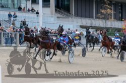 Dateiname=20251012_r07_076_R07_0288.jpg
Dateigröße=313KB
Abmessungen: 1000x667
hinzugefügt am: 14. Oktober 2025 20251012_r07_076_R07_0288.jpg