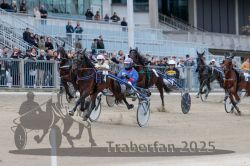 Dateiname=20251012_r07_077_R07_0291.jpg
Dateigröße=297KB
Abmessungen: 1000x667
hinzugefügt am: 14. Oktober 2025 20251012_r07_077_R07_0291.jpg