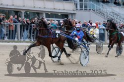 Dateiname=20251012_r07_080_R07_0300.jpg
Dateigröße=292KB
Abmessungen: 1000x667
hinzugefügt am: 14. Oktober 2025 20251012_r07_080_R07_0300.jpg