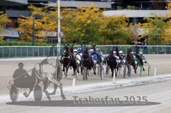 Dateiname=20251012_r07_083_R07_0316.jpg
Dateigröße=306KB
Abmessungen: 1000x667
hinzugefügt am: 14. Oktober 2025 20251012_r07_083_R07_0316.jpg