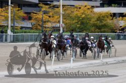 Dateiname=20251012_r07_085_R07_0326.jpg
Dateigröße=302KB
Abmessungen: 1000x667
hinzugefügt am: 14. Oktober 2025 20251012_r07_085_R07_0326.jpg