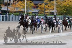 Dateiname=20251012_r07_086_R07_0328.jpg
Dateigröße=303KB
Abmessungen: 1000x667
hinzugefügt am: 14. Oktober 2025 20251012_r07_086_R07_0328.jpg