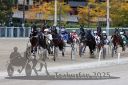 Dateiname=20251012_r07_087_R07_0332.jpg
Dateigröße=303KB
Abmessungen: 1000x667
hinzugefügt am: 14. Oktober 2025 20251012_r07_087_R07_0332.jpg